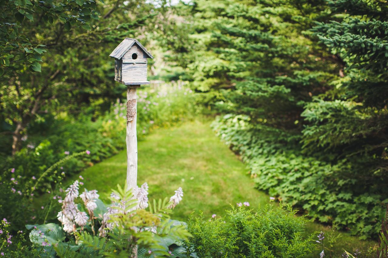 Abbie'S Garden Bed & Breakfast Grand Bank Экстерьер фото