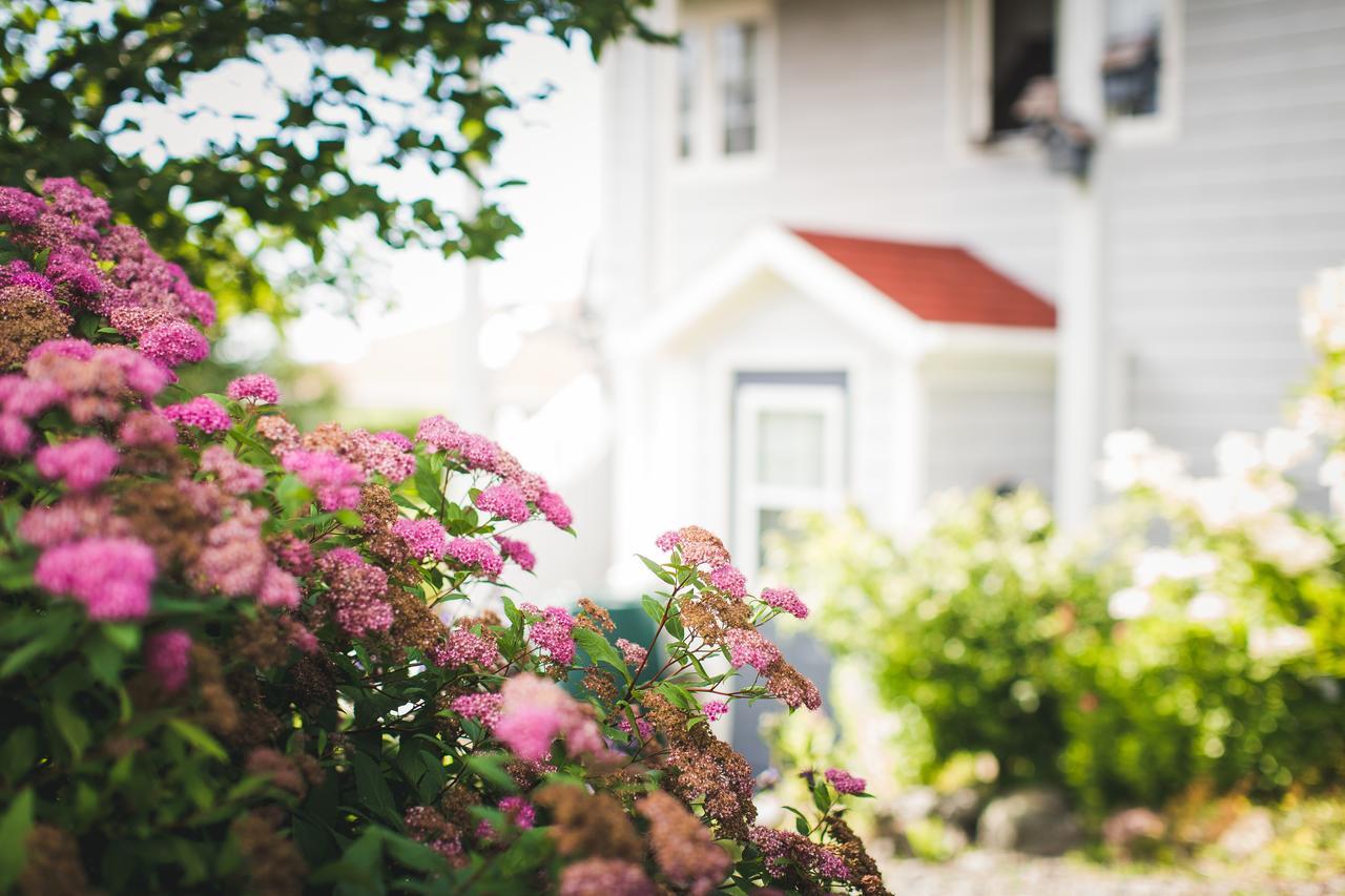 Abbie'S Garden Bed & Breakfast Grand Bank Экстерьер фото