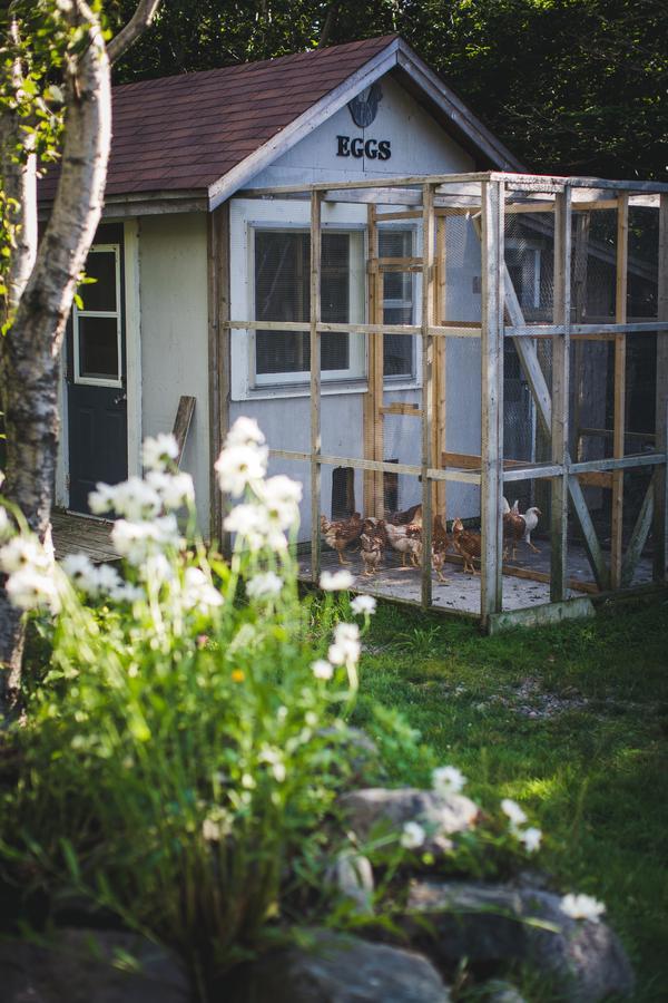 Abbie'S Garden Bed & Breakfast Grand Bank Экстерьер фото